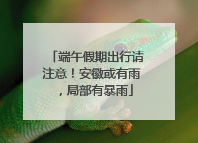 端午假期出行请注意！安徽或有雨，局部有暴雨