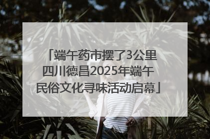 端午药市摆了3公里 四川德昌2025年端午民俗文化寻味活动启幕