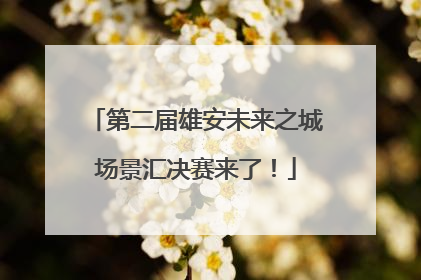 第二届雄安未来之城场景汇决赛来了！