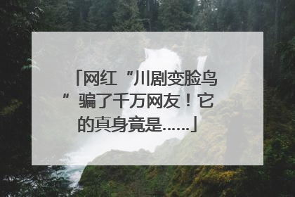 网红“川剧变脸鸟”骗了千万网友！它的真身竟是……