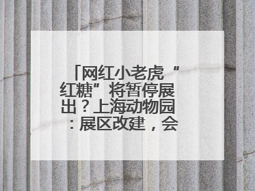 网红小老虎“红糖”将暂停展出？上海动物园：展区改建，会安排展出计划