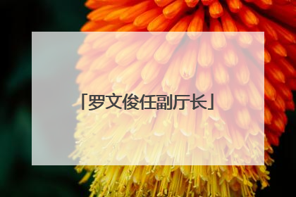 罗文俊任副厅长