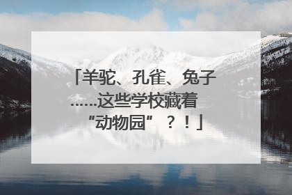 羊驼、孔雀、兔子……这些学校藏着 “动物园”？！