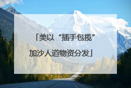 美以“插手包揽”加沙人道物资分发