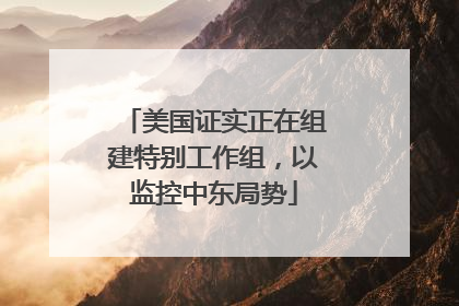 美国证实正在组建特别工作组，以监控中东局势