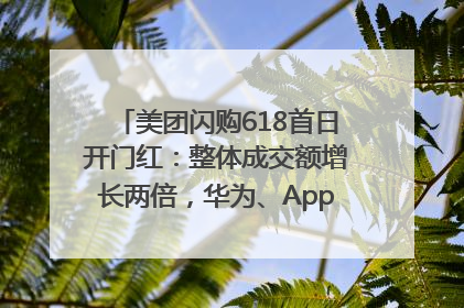美团闪购618首日开门红：整体成交额增长两倍，华为、Apple、沃尔玛等近800个品牌翻倍增长