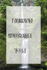 美陆军轻型坦克项目下马