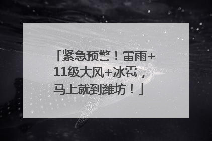 紧急预警！雷雨+11级大风+冰雹，马上就到潍坊！