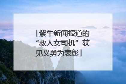 紫牛新闻报道的“救人女司机”获见义勇为表彰