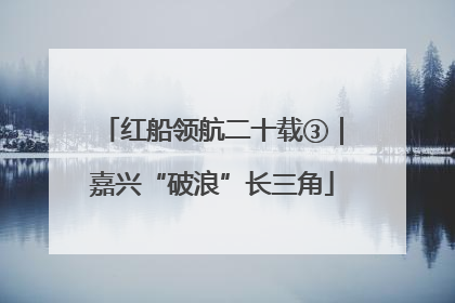 红船领航二十载③｜嘉兴“破浪”长三角