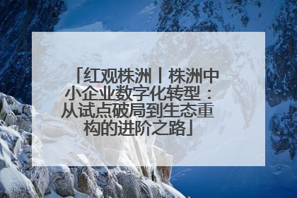 红观株洲丨株洲中小企业数字化转型：从试点破局到生态重构的进阶之路
