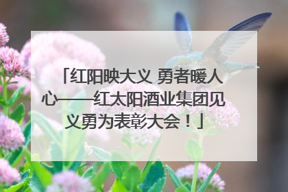 红阳映大义 勇者暖人心——红太阳酒业集团见义勇为表彰大会！