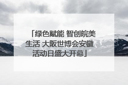 绿色赋能 智创皖美生活 大阪世博会安徽活动日盛大开幕