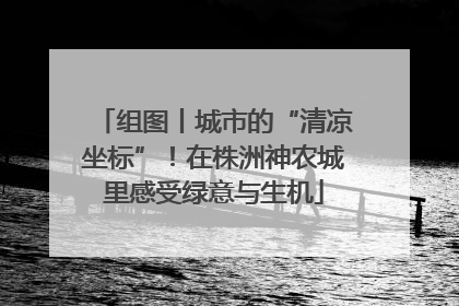 组图丨城市的“清凉坐标”！在株洲神农城里感受绿意与生机