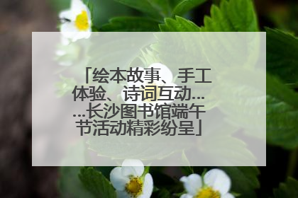 绘本故事、手工体验、诗词互动……长沙图书馆端午节活动精彩纷呈