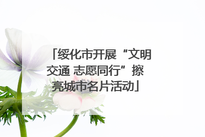 绥化市开展“文明交通 志愿同行”擦亮城市名片活动