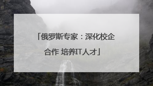 俄罗斯专家：深化校企合作 培养IT人才