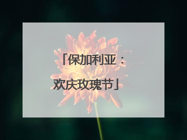 保加利亚：欢庆玫瑰节