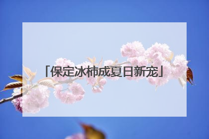 保定冰柿成夏日新宠