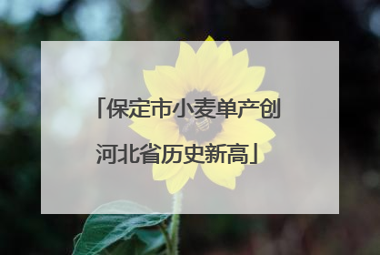 保定市小麦单产创河北省历史新高