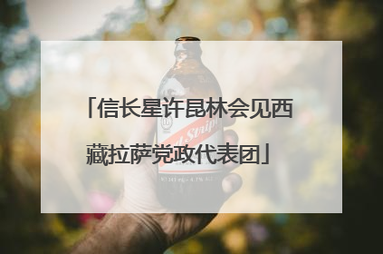 信长星许昆林会见西藏拉萨党政代表团