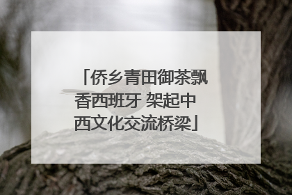 侨乡青田御茶飘香西班牙 架起中西文化交流桥梁