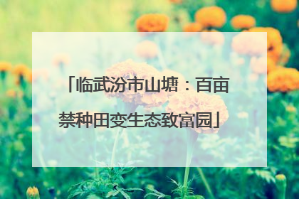 临武汾市山塘：百亩禁种田变生态致富园