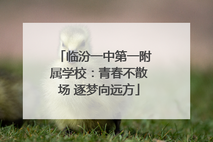 临汾一中第一附属学校：青春不散场 逐梦向远方