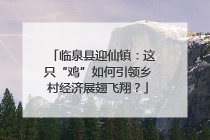 临泉县迎仙镇：这只“鸡”如何引领乡村经济展翅飞翔？