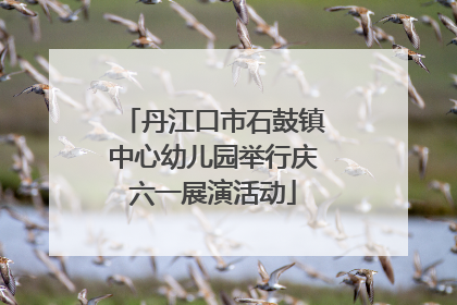 丹江口市石鼓镇中心幼儿园举行庆六一展演活动