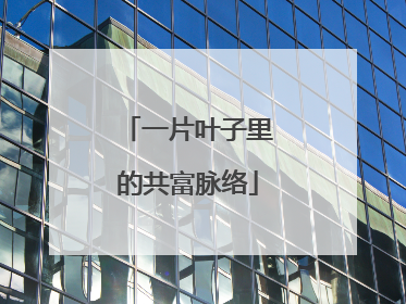 一片叶子里的共富脉络
