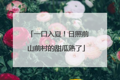 一口入夏！日照前山前村的甜瓜熟了