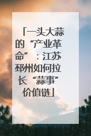 一头大蒜的“产业革命”：江苏邳州如何拉长“蒜事”价值链