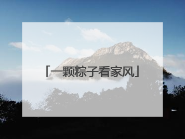 一颗粽子看家风