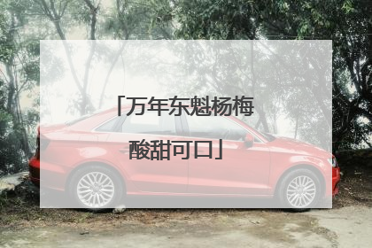 万年东魁杨梅 酸甜可口