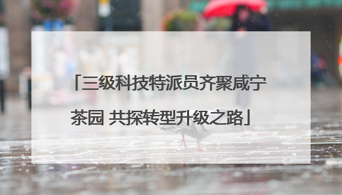 三级科技特派员齐聚咸宁茶园 共探转型升级之路