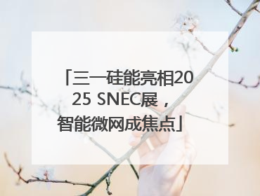 三一硅能亮相2025 SNEC展，智能微网成焦点