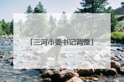 三河市委书记调整