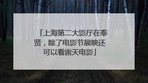 上海第二大影厅在奉贤，除了电影节展映还可以看露天电影