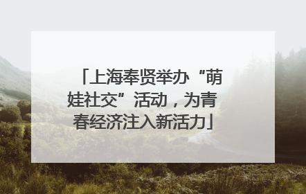 上海奉贤举办“萌娃社交”活动，为青春经济注入新活力