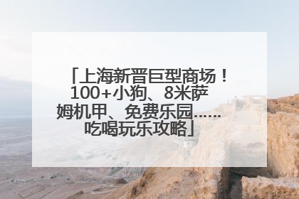 上海新晋巨型商场！100+小狗、8米萨姆机甲、免费乐园……吃喝玩乐攻略