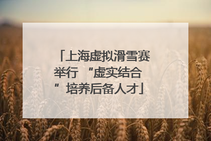 上海虚拟滑雪赛举行 “虚实结合”培养后备人才