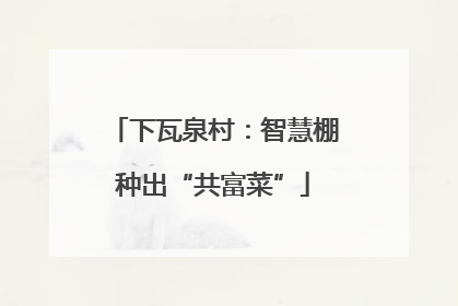 下瓦泉村：智慧棚种出“共富菜”