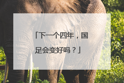 下一个四年，国足会变好吗？