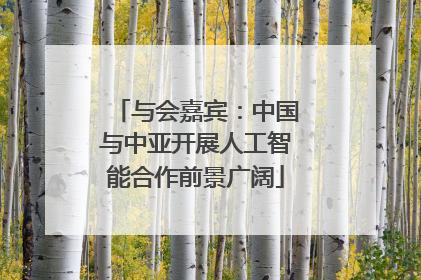 与会嘉宾：中国与中亚开展人工智能合作前景广阔