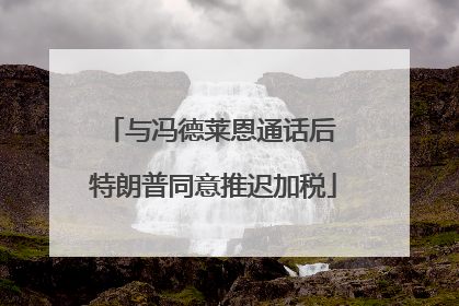 与冯德莱恩通话后 特朗普同意推迟加税