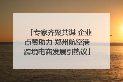 专家齐聚共谋 企业点赞助力 郑州航空港跨境电商发展引热议