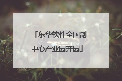 东华软件全国副中心产业园开园