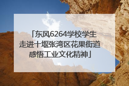 东风6264学校学生走进十堰张湾区花果街道感悟工业文化精神