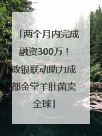 两个月内完成融资300万！政银联动助力成都金堂羊肚菌卖全球